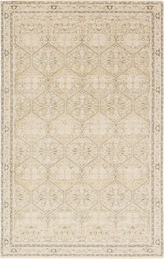 Jaipur Living Solene Lethia SLE06 Area Rug main image