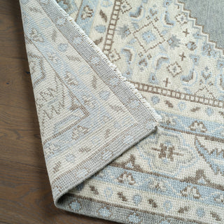 Jaipur Living Salinas Farwell SLN06 Blue/Ivory Area Rug Lifestyle Image