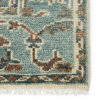 Jaipur Living Salinas Slayton SLN11 Light Teal/Ivory Area Rug Detail Image