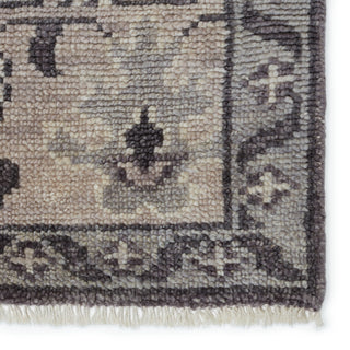 Jaipur Living Salinas Kella SLN12 Gray Area Rug Detail Image