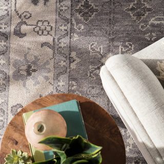 Jaipur Living Salinas Kella SLN12 Gray Area Rug Main Image