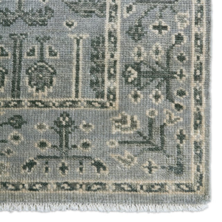 Jaipur Living Salinas Ginerva SLN15 Gray Area Rug Detail Image