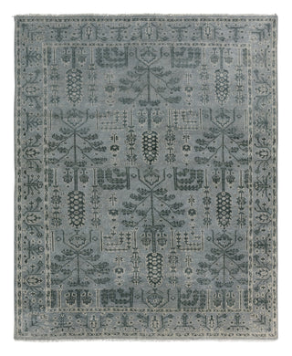 Jaipur Living Salinas Ginerva SLN15 Gray Area Rug main image
