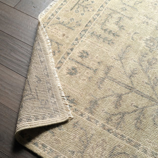 Jaipur Living Salinas Ginerva SLN16 Cream/Green Area Rug Lifestyle Image