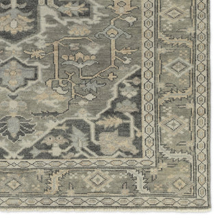 Jaipur Living Salinas SLN21 Area Rug Detail Image