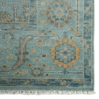 Jaipur Living Salinas SLN22 Area Rug Detail Image