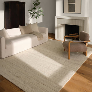 Jaipur Living Solon Hued SLO02 Cream Machine Washable Area Rug Room Scene Feature