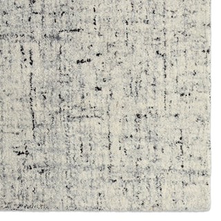 Jaipur Living Salix Macklin SLX01 Ivory/Light Gray Area Rug Detail Image