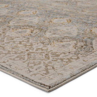 Jaipur Living Sinclaire Hakeem SNL01 Gray/Gold Area Rug by Vibe Corner Image