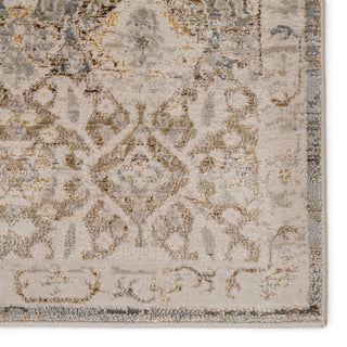 Jaipur Living Sinclaire Hakeem SNL01 Gray/Gold Area Rug by Vibe Detail Image