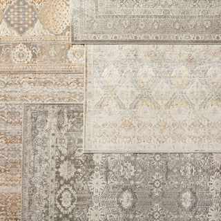Jaipur Living Sinclaire Hakeem SNL01 Gray/Gold Area Rug by Vibe Main Image