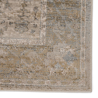 Jaipur Living Sinclaire Tajsa SNL02 Gray/Gold Area Rug by Vibe Detail Image