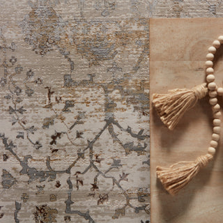 Jaipur Living Sinclaire Tajsa SNL02 Gray/Gold Area Rug by Vibe Main Image