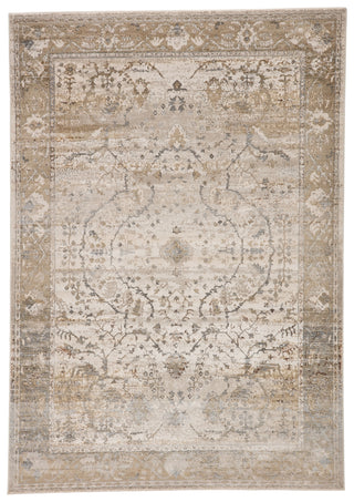 Jaipur Living Sinclaire Tajsa SNL02 Gray/Gold Area Rug by Vibe main image