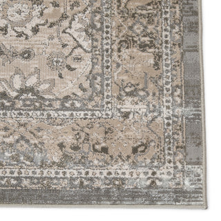 Jaipur Living Sinclaire Odel SNL05 Gray/White Area Rug by Vibe Detail Image