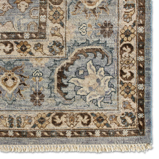 Jaipur Living Someplace In Time Pendulum SPT10 Blue/Brown Area Rug Detail Image