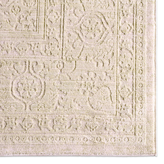 Jaipur Living Serenita Beyza SRE01 White/Tan Area Rug Detail Image
