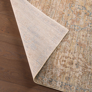 Jaipur Living Stone Meadow Valdora STN04 Tan / Beige/Blue Area Rug by Label J Lifestyle Image Feature