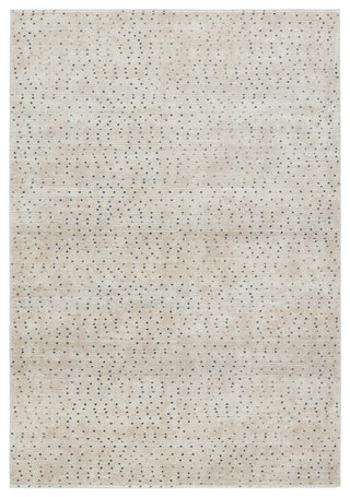 Jaipur Living Sundar Melora SUD03 Beige/Gray Area Rug main image