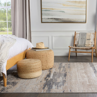 Jaipur Living Sundar Ronan SUD05 Beige/Gray Area Rug Lifestyle Image