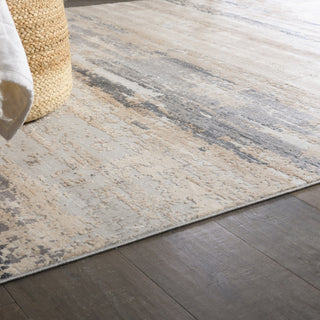 Jaipur Living Sundar Ronan SUD05 Beige/Gray Area Rug Lifestyle Image