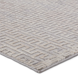 Jaipur Living Sundar Baxley SUD06 Gray/Beige Area Rug Corner Image