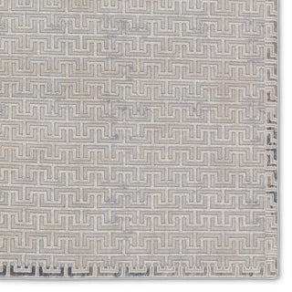 Jaipur Living Sundar Baxley SUD06 Gray/Beige Area Rug Detail Image