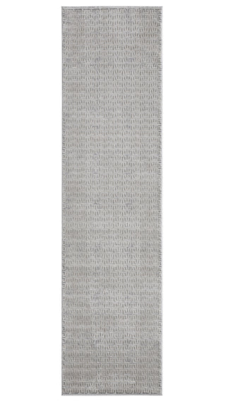 Jaipur Living Sundar Baxley SUD06 Gray/Beige Area Rug Runner Image