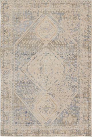 Jaipur Living Swoon Rush SWO20 Light Gray/Blue Area Rug by Vibe