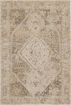 Jaipur Living Swoon Rush SWO21 Beige/Tan Area Rug by Vibe