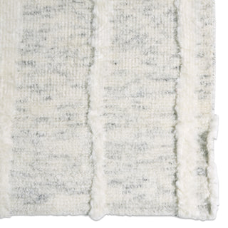 Jaipur Living Tala Casamir TAL08 Cream/Brown Area Rug Detail Image