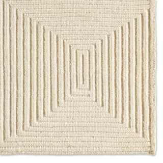 Jaipur Living Tasa TAS03 Area Rug Detail Image
