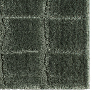 Jaipur Living Tazeka Kade TAZ07 Green Area Rug Corner