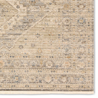 Jaipur Living Tejal Lave TEJ02 Tan Area Rug Detail Image