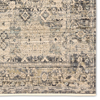 Jaipur Living Tejal Krasava TEJ03 Blue Area Rug Detail Image