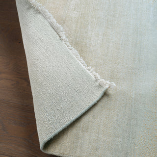 Jaipur Living Tempest TEM01 Area Rug Lifestyle Image