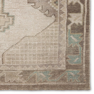 Jaipur Living Theo Palar THO04 Brown/ Area Rug Detail Image