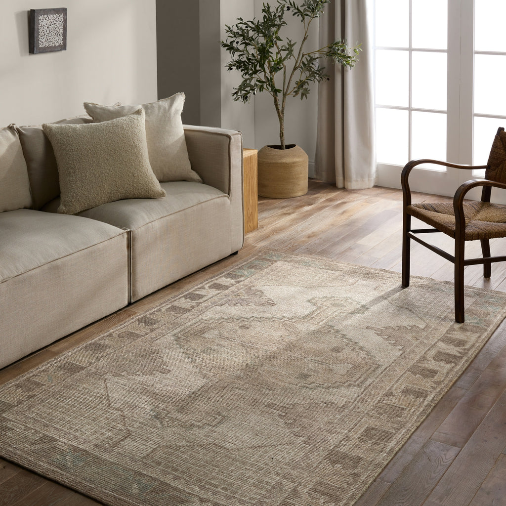 Jaipur Living Theo Palar THO04 Brown/ Area Rug main image