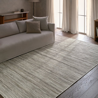 Jaipur Living Tidal Drift Relativity TID04 Ivory / White/Gray Area Rug Lifestyle Image Feature