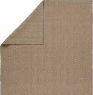 Jaipur Living Talin Elmas TLN01 Tan/Gray Area Rug