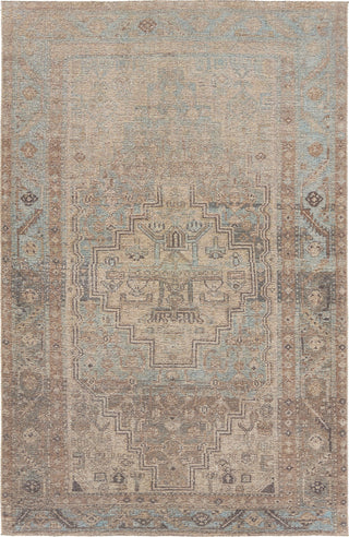 Jaipur Living Todori Adamen TOD03 Brown Machine Washable Area Rug by Vibe