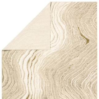 Jaipur Living Toprak Tesuque TOP03 Tan/ Area Rug Backing Image