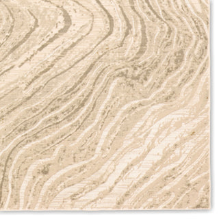 Jaipur Living Toprak Tesuque TOP03 Tan/ Area Rug Detail Image