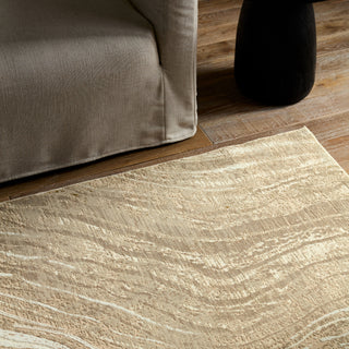 Jaipur Living Toprak Tesuque TOP03 Tan/ Area Rug Detail Image