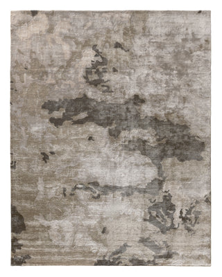 Jaipur Living Transcend Glacier TRD01 Gray/Silver Area Rug main image