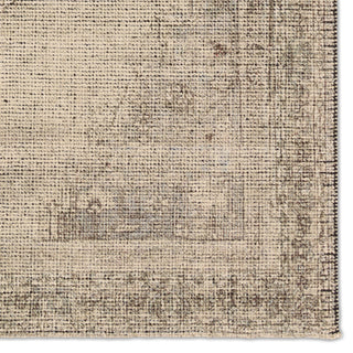 Jaipur Living Tesorino By House Sprucing Moglie TRN03 Beige / Brown Area Rug Detail Image