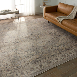 Jaipur Living Terra Starling TRR18 Tan/Cream Area Rug Lifestyle Image Feature
