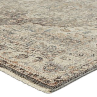 Jaipur Living Terra Starling TRR19 Tan/Brown Area Rug Corner Image