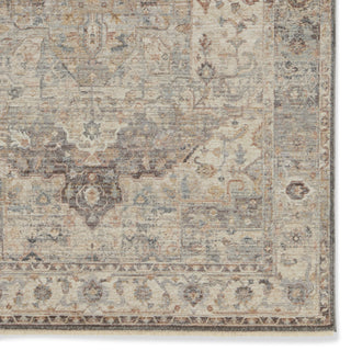 Jaipur Living Terra Starling TRR19 Tan/Brown Area Rug Detail Image