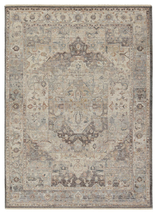 Jaipur Living Terra Starling TRR19 Tan/Brown Area Rug main image